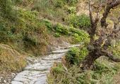 Itmenaan Village Walks