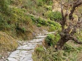 Trekking path in Almora, India