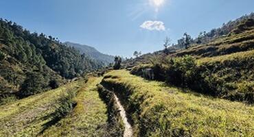 Trekking path in Almora, India