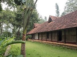 Rajakkad Estate, Palani Hills, India