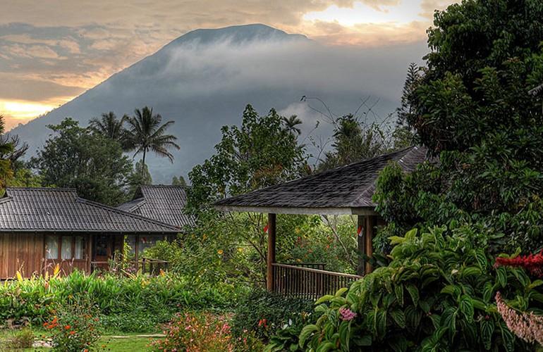 View, Gardenia Country Inn