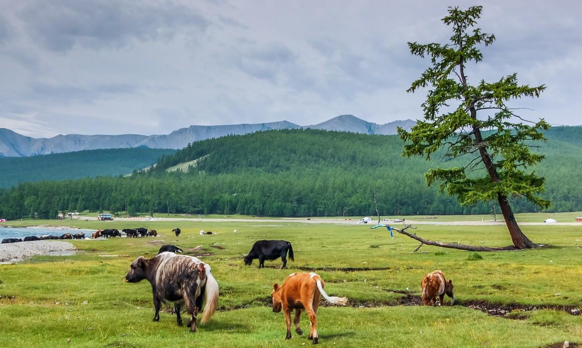 Khovsgol National Park