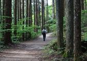 Walk on the ancient Nakasendo Highway
