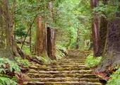 Walk on the Kumano Kodo Pilgrimage trail