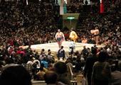 Sumo Wrestling