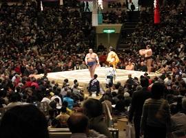 Sumo wrestling, Tokyo