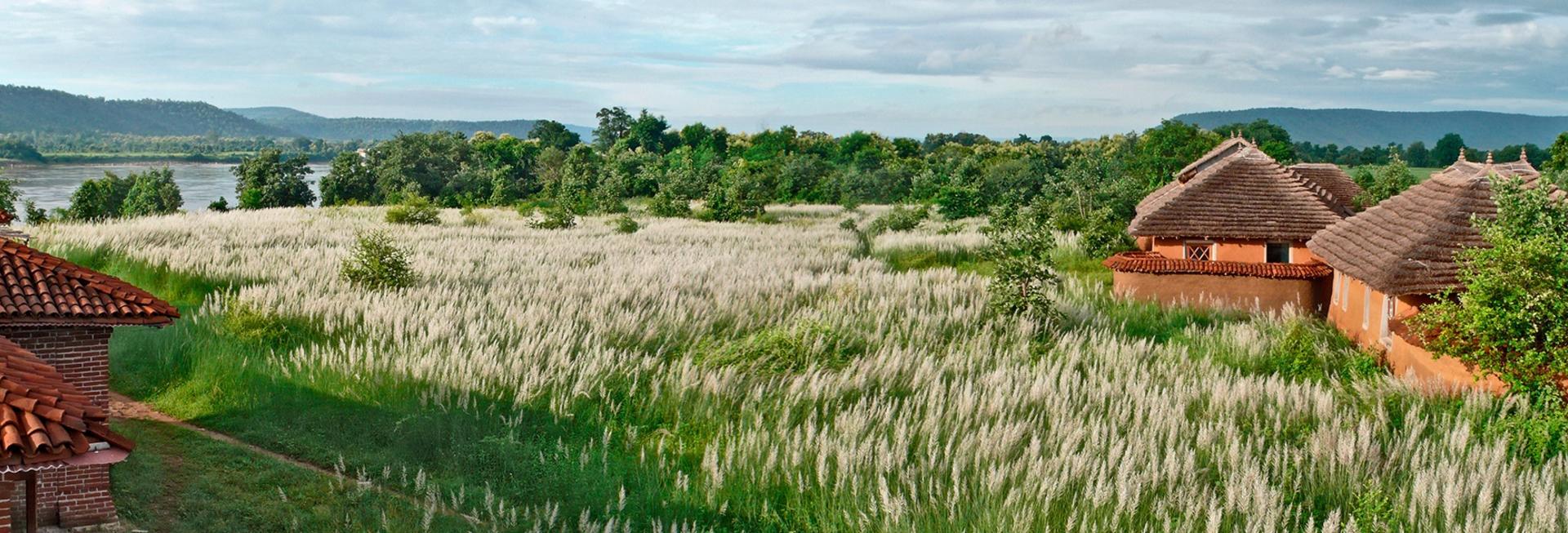 Sarai at Toria, Panna National Park