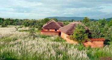 Sarai at Toria, Panna National Park