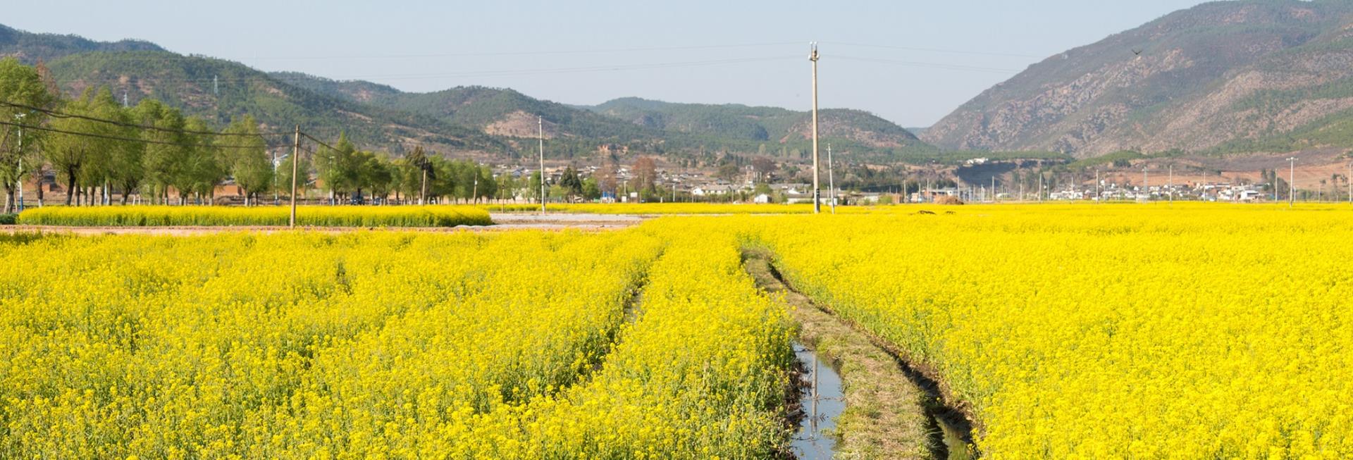 Shaxi Valley, Yunnan