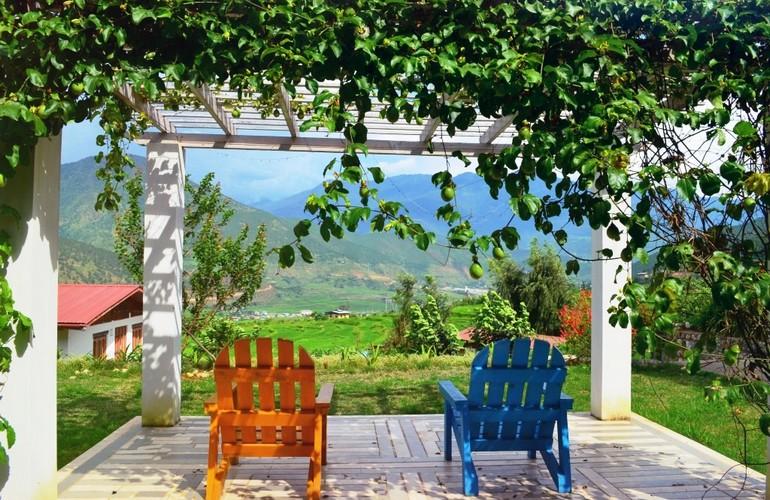 Terrace, Drubchhu Resort