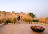 Mihir Garh