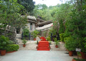 The Aodhi