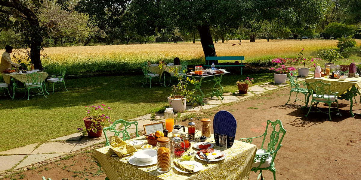 Breakfast, Shahpura Bagh