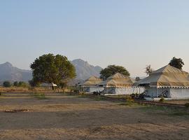 Godwad Leopard Safari Camp, Rajasthan