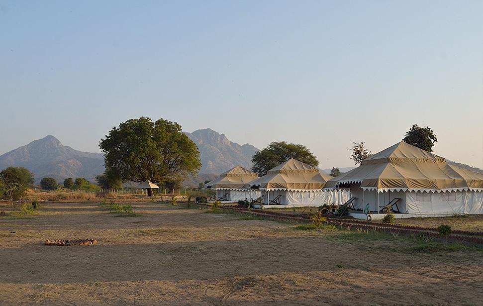 Godwad Leopard Safari Camp