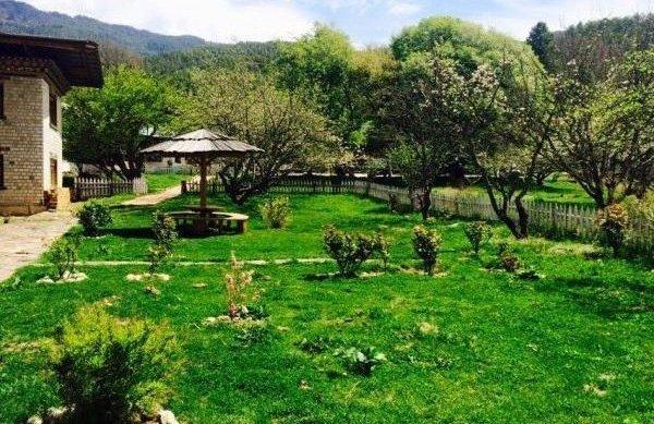 Garden, Swiss Guest House