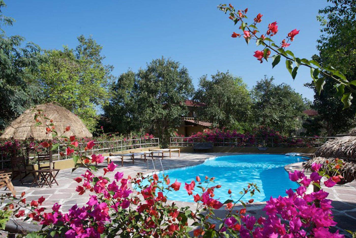 Swimming Pool, Forsyth Lodge