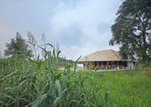 Svasara Jungle Lodge