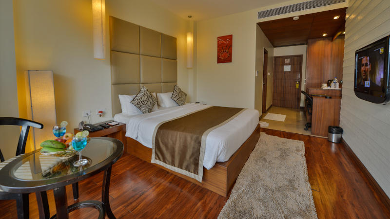 Standard Room, Sea Shell