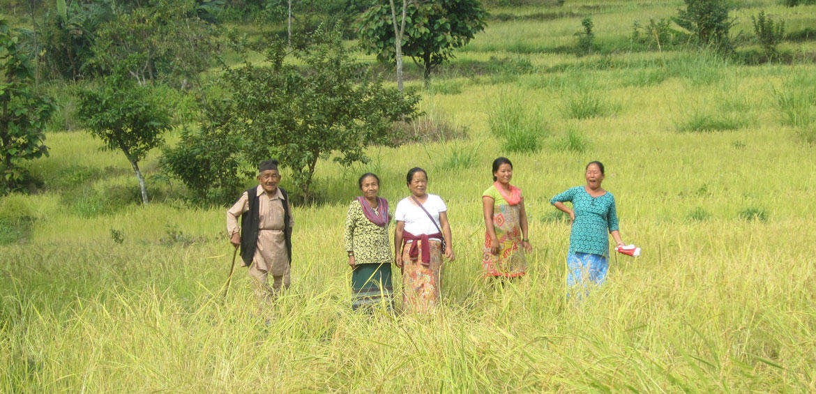 Friendly Locals, Pali Ghar