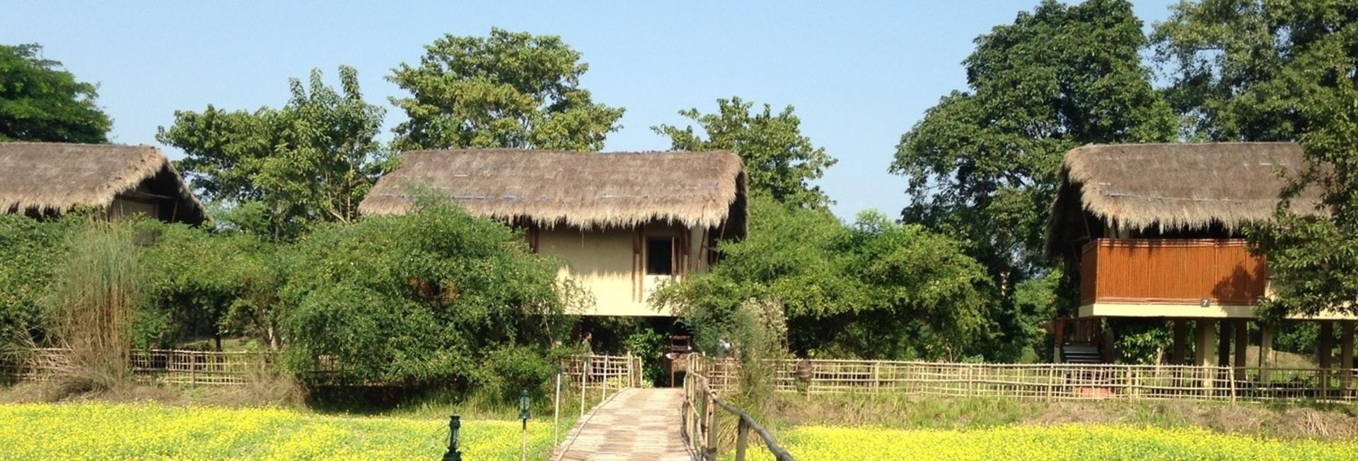 Diphlu River Lodge, Kaziranga National Park