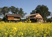 Diphlu River Lodge