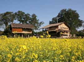 Diphlu River Lodge, Kaziranga National Park