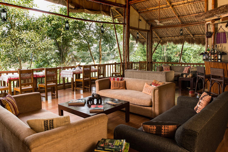 Bar, Diphlu River Lodge
