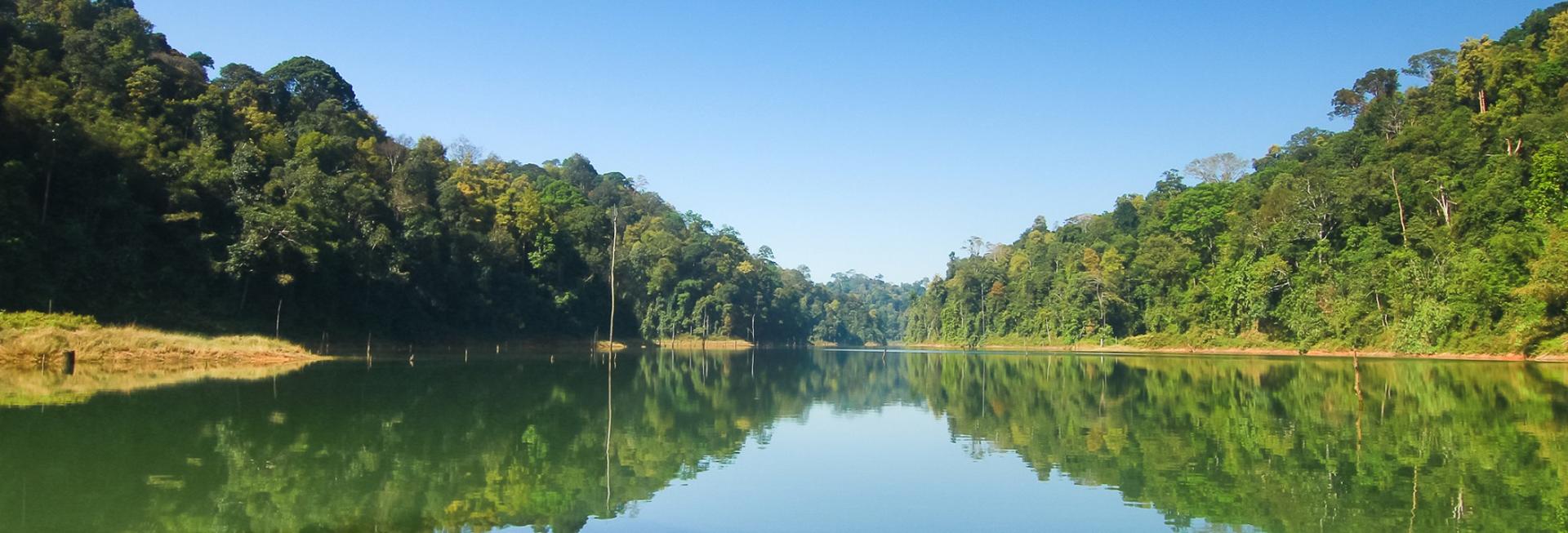 Belum Rainforest Reserve, Malaysia