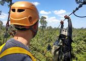 Zip-Lining at Angkor