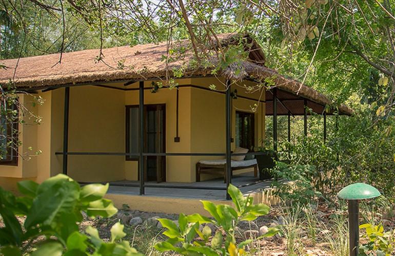 Cottage, Jim's Jungle Retreat