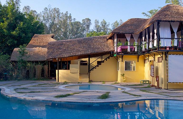 Swimming pool, Jim's Jungle Retreat