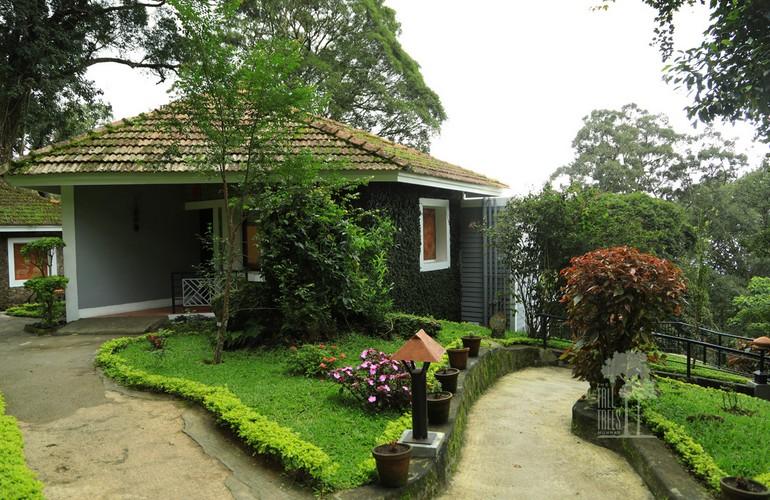 Cottage, Tall Trees