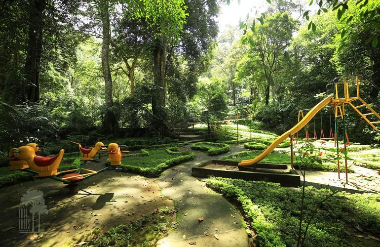 Playground, Tall Trees