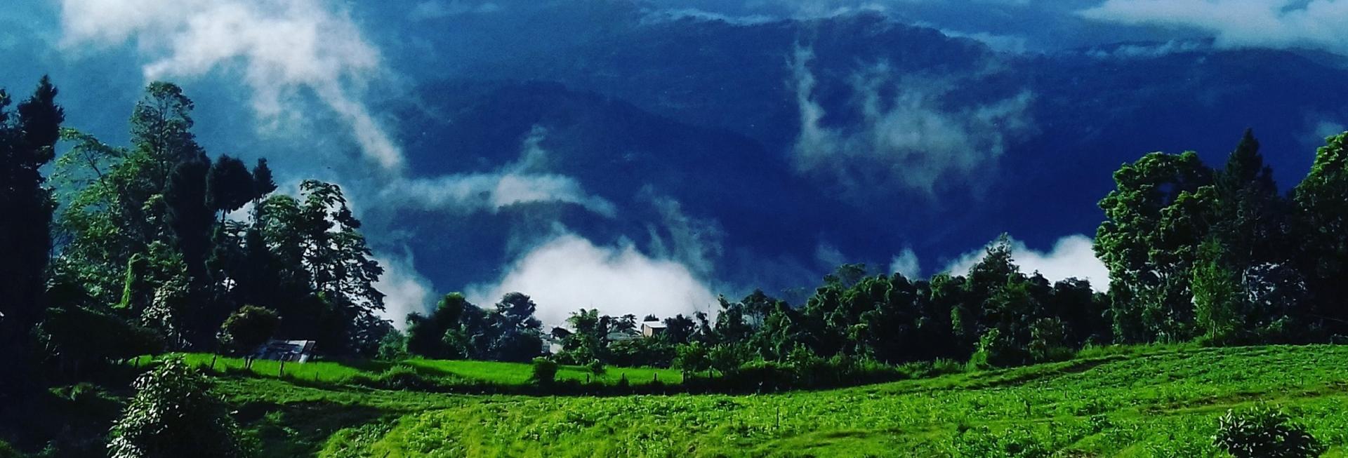 Village walks from Palighar