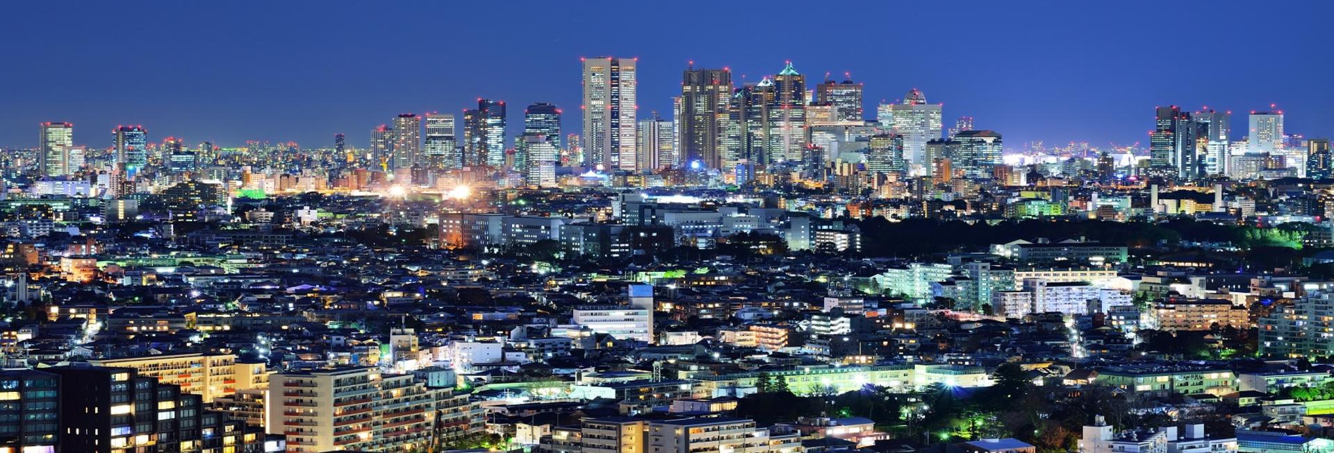 Helicopter tour, Tokyo
