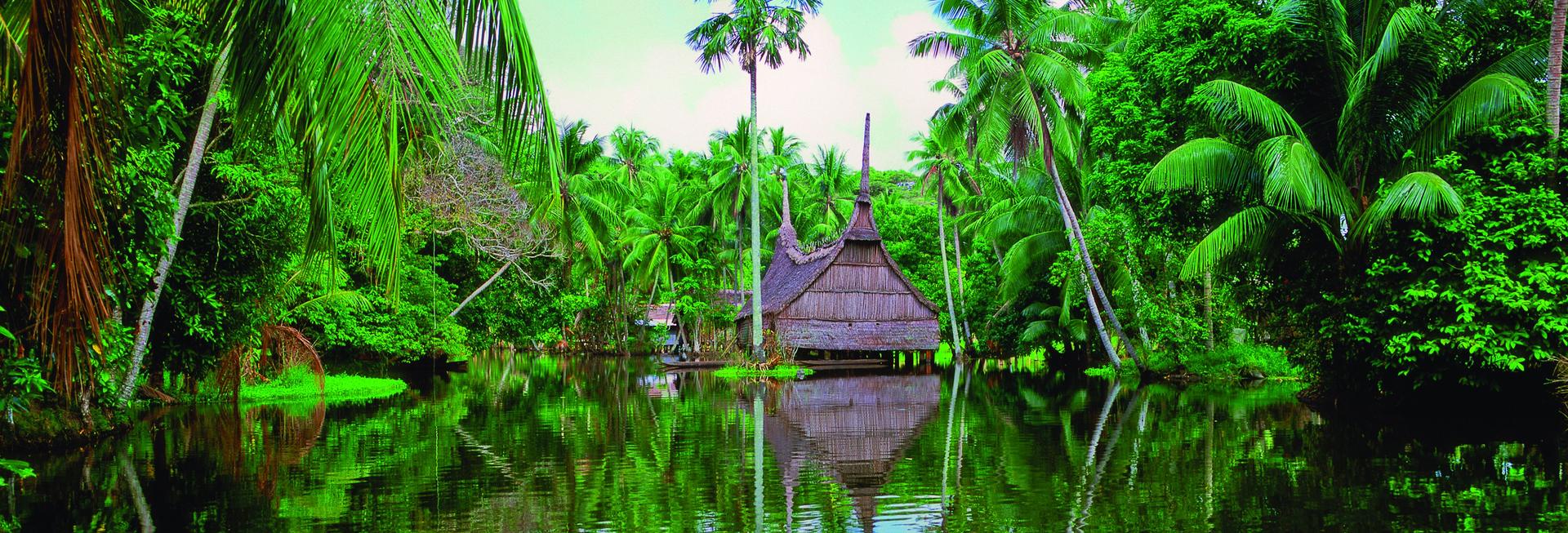 Village hut, Sepik River