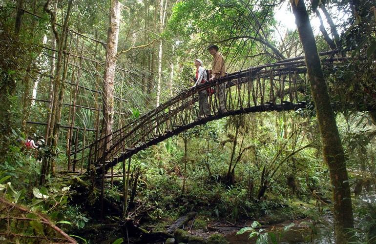 Bridge, Ambua Lodge