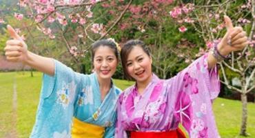 Family Adventure in Japan