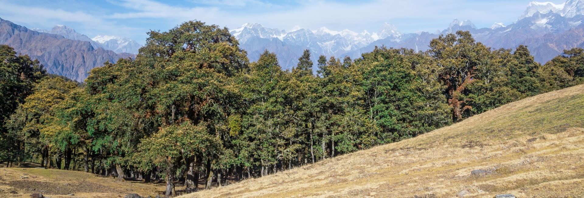 Adventures in the Himalayan Foothills