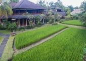 Ananda Ubud Resort 