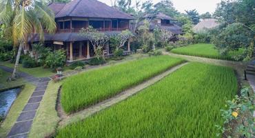Ananda Cottages