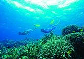 Snorkel among the coral reefs at Tufi