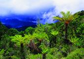 Climb Mount Wilhelm