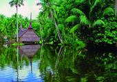 Homestay in the Sepik
