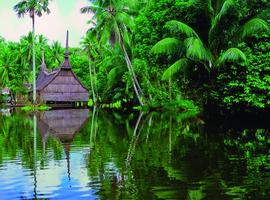 Elder, Sepik River