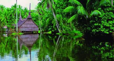 Elder, Sepik River