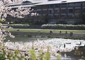 Ritz-Carlton Kyoto