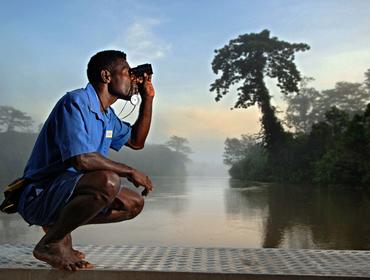 Birdwatching, Karawari River