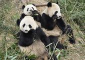 China for Families